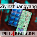 Ziyinzhuangyang new02
